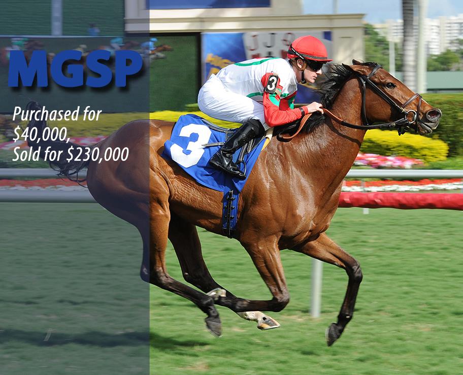 LA REINE LIONNE- Multiple Grade 2-Placed earner of $200,985