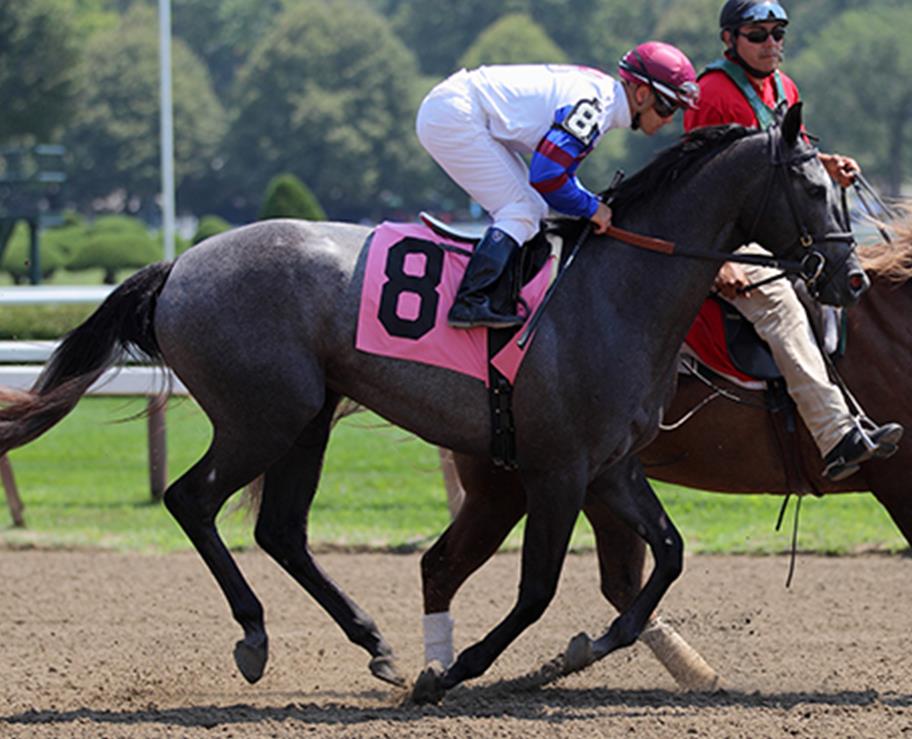 NECK OF THE MOON - Stakes Winner of $402,312