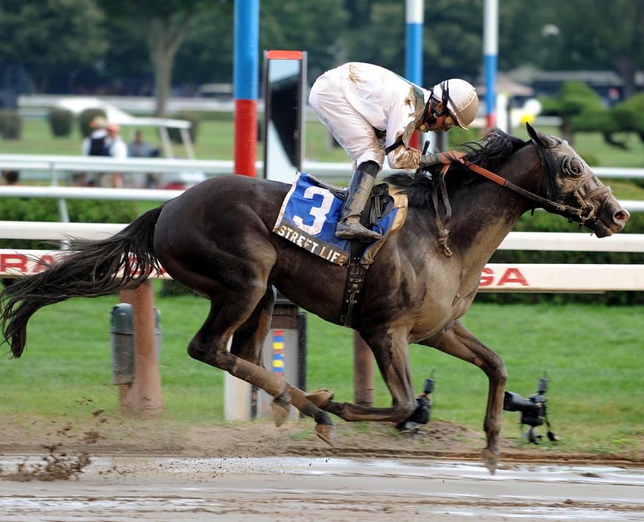 STREET LIFE - Multiple Stakes Winner of $237,735