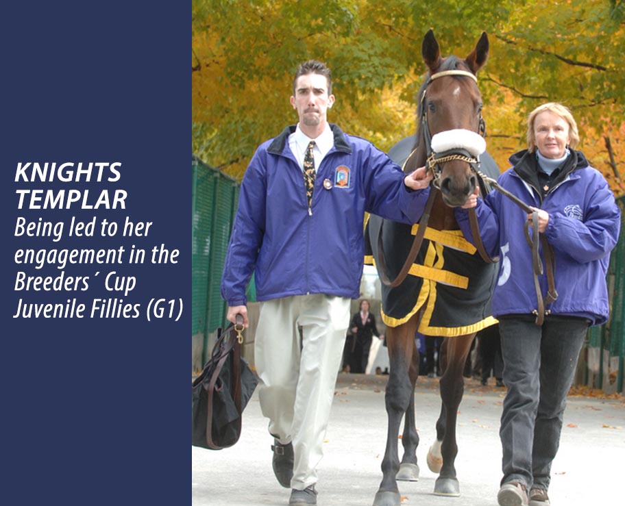 KNIGHTS TEMPLAR - GSW & Sovereign Award Champion. Earnings: $277,713